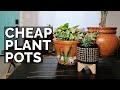 Cheap Plant Pots: Walmart vs. Target vs. Marshalls vs. Consignment Stores!