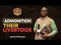 ADMONITION: Their Livestock | Sunday Service 31 May 2026 | Apostle T.F Chiwenga