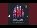 Cathedral Windows, Op. 106: No. 1. Kyrie eleison