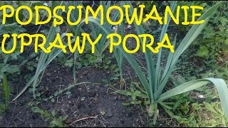 Podsumowanie uprawy Pora w 2016 roku.