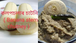 কলপচলাৰ চাটনি । Banana stem chutney