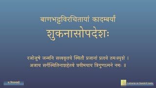 शुकनासोपदेशः - Session 05 (English Lecture)