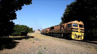 GWA Grain Train with locomotives GWA9 CLP17 ALF23 CLP14 ALF22 22nd January 2019