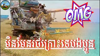 របៀបច្រូតកាត់ប្រមូលផលស្រូវរបស់ប្រជាកសិករថៃ