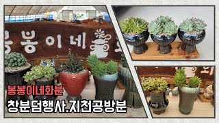 9월6일#봉봉이네화분#수제공방분#다육화분#늦으면 후회~5만이상택배무료