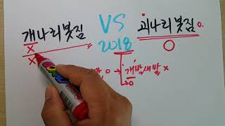 개나리봇짐 vs 괴나리봇짐