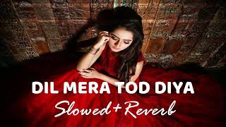 Dil Mera Tod Diya | Lofi Vibe | Kasoor | Alka Yagnik | Aftab Shivdasani | Lisa Ray | Slowed & Reverb
