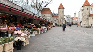 A walk in Tallinn, Estonia - Scandinavian countries Cruise