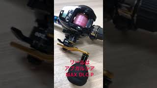 海上釣堀 タックル紹介 脈釣り ダイワ クラブブルーキャビン M400E アブガルシア MAX DLC P