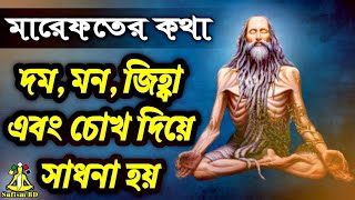 সাধনার মাধ্যম কি কি? | মারেফতের আলোচনা | @DMRahat | Sufism BD