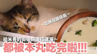 米香的都被小貓吃光啦！貓巧達濃湯【貓副食食譜】好味貓廚房EP119