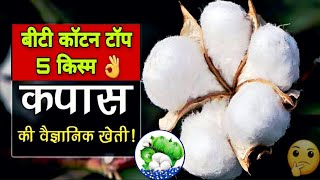 Bt cotton Narma top 5 variety👍बीटी कॉटन नरमा की सर्वाधिक उपज वाली टॉप किस्म | उपज 12-15 क्विंटल/एकड़