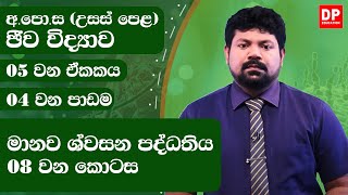 05 වන ඒකකය | 05 වන පාඩම - සතුන්ගේ බහිස්‍රාවය  -  05 වන කොටස | | Physics Unit 5 Lesson 5