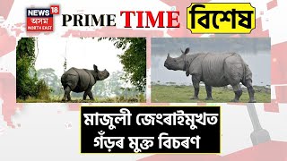 Rhino terror in Majuli : মাজুলী জেংৰাইমুখত গঁড়ৰ মুক্ত বিচৰণ | বাইক আৰোহীলৈ চোঁচা ল’লে গঁড়ে |