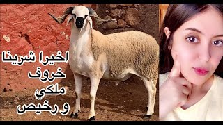 Eid al adha اخيرا  شرينا الحولي🐏😍تجهيزات عيد الاضحى في الدقائق الاخيرة💅🏻عناية ليلية💇🏻‍♀️حوايج العيد