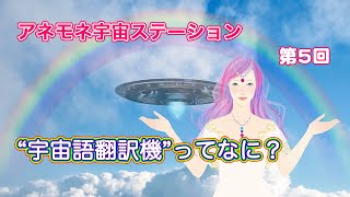 👽宇宙語翻訳機ってなに💙❓◎光ファミリーさん