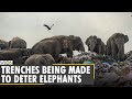 Sri Lanka Elephant Crisis: Trenches being made to deter elephants