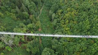 Geierlay Suspension Bridge, Germany | A Journey Above the Treetops | 4k | 2024 | From Above