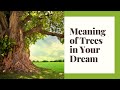 Dream Symbolism: Meaning of Trees in Your Dream