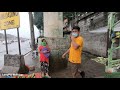 life scenes after heavy rain walk at old balara tandang sora philippines 4k 🇵🇭