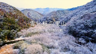 【高知の冬の朝】雪に染まる里山