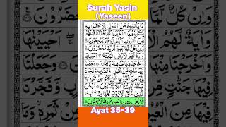 Surah Yasin (Yaseen) Ayat 35-39 🤲❤️ #shorts #trending #quran #viral