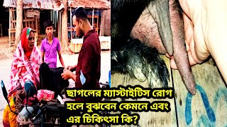 ছাগল ম্যাস্টাইটিস রোগ?এই রোগের লক্ষন কি?ওলান ফোলা রোগ?ছাগলের খামার