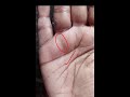 palmistry palmistry संपूर्ण हथेली विश्लेषण। दो मुखी रेखा से लेकर सूर्य रेखा तक की पूरी जानकारी