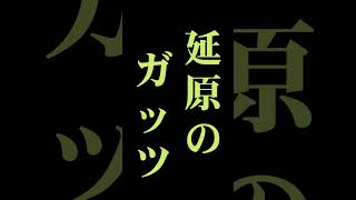 二子山部屋の延原の大技 #大相撲