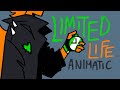 BULLET | LIMITED LIFE ANIMATIC