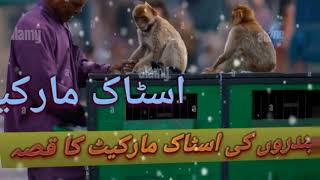 Bandron ki stock market ka dilchasp Qisa||aik tajar or bandron walay gaon ka Qisa|Islam zindbad