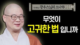 무엇이 고귀한 법입니까 [초심으로 돌아가는 광우스님의 소나무 159회]