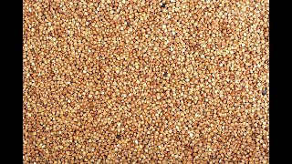 Buckwheat 101-Foods That Go With Buckwheat