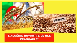 L'ALGÉRIE SANCTIONNE LA FRANCE : boycott du blé Français