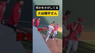 何かを探してる大谷翔平さん #大谷翔平 #ohtani #ホームラン王 #mlb #shorts