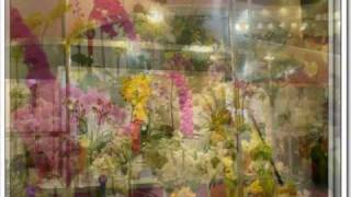 2009臺北國際花卉展~台北小巨蛋