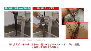 花王  【特集 美髪】指通ししないと洗髪で髪が絡まる