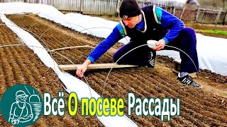 ☘ All About Sowing Seedlings by Technology Gordeev | Growing Seedlings in a Homemade Greenhouse