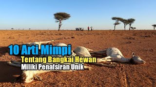 10 Arti Mimpi tentang Bangkai Hewan, Miliki Penafsiran Unik