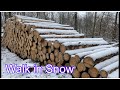 Virtual Walk in Snow Germany | Januar 2021 | Chatha Food&Vlog