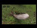 doing my favorite missions in hunting unlimited hunting unlimited 2010