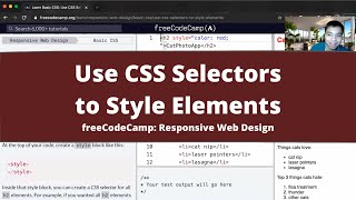 Use CSS Selectors to Style Elements (Basic CSS) freeCodeCamp tutorial