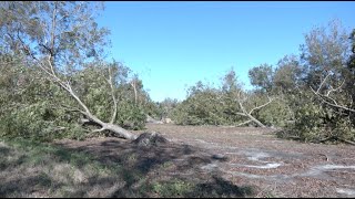 Hurricane Helene Proves Devastating to Georgia Ag