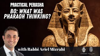 Bo: What Was Pharaoh Thinking?