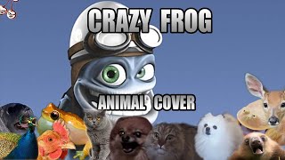Crazy Frog - Axel F (Animal Cover)