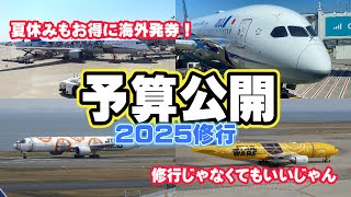 【予算公開】2025ANAダイヤモンド修行予定　お盆もお得に！