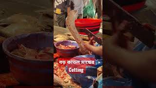 Cutting Carp Fish বড় কাতল মাছ কাঁটা #shorts #fish #carpfish #কাতল