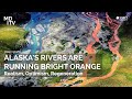 Alaska's Rivers Are Running Bright Orange: Realism, Optimism, Regeneration - Olivier Cotsaftis