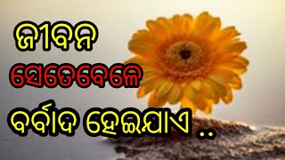 ପ୍ରେମ ସବୁବେଳେ sorry କହିବା ପସନ୍ଦ କରେ /