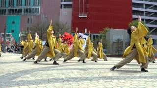 2014 05/05　ＡＯＭＯＲＩ春フェスティバル /　横手舞組